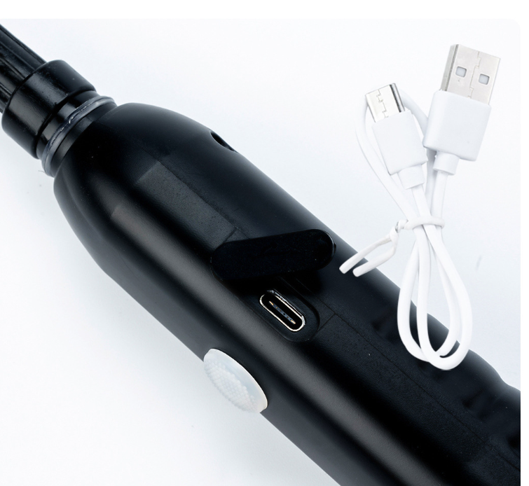 Electric Pressure Sprayer for Gardening and Disinfection