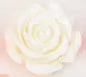 Rose Gold Metal Anal Plug with Flower Design