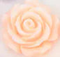 Rose Gold Metal Anal Plug with Flower Design
